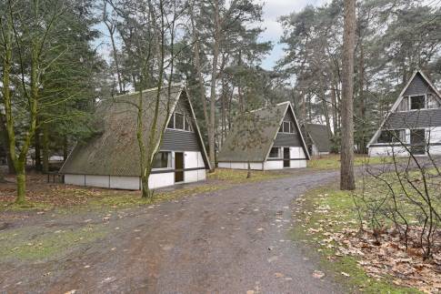 The Omgeving of Type W6A - nr. 36 in Landal Bospark ’t Wolfsven
