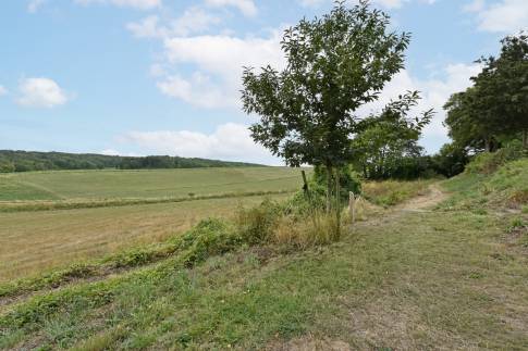 The Omgeving of nr. 251 - type Panorama Chalet 5 in EuroParcs Gulperberg