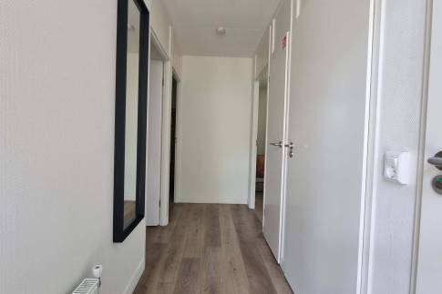 The Gang of Type Bungalow 4C - nr. 86 in Landal De Peel