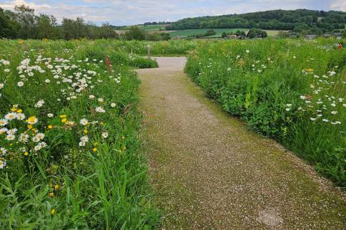 The Buiten of Type Hillside Royal 4 - nr. 134 in Landal Gulpen