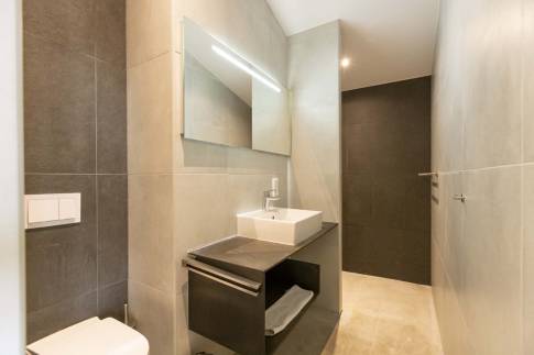 The Badkamer 1 of Type Alexander - nr. 7 in Villas Winterberg