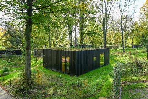 The Buiten of Type Green Valley 6 - nr. 41 in Landal Gulpen