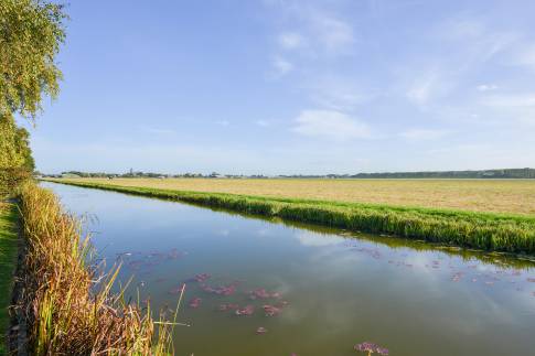 The Omgeving of Type Module Special - nr. 219A in Park Westerkogge