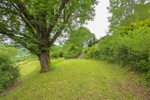 The Omgeving of nr. 103 - type Eifel Comfort 6 in Eifelpark Kronenburger See