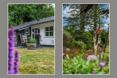 The Tuin of nr. 065 - type Vennepluus in Vakantiepark Westerbergen
