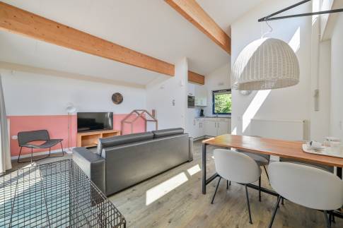The Woonkamer of nr. 201 - type 4CD in Landal Beach Resort Ooghduyne