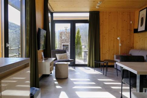 The Woonkamer of Type A Luxe - nr. F02 in UplandParcs Sauerland