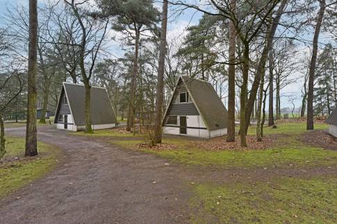 The Omgeving of Type W4A - nr. 50 in Landal Bospark ’t Wolfsven