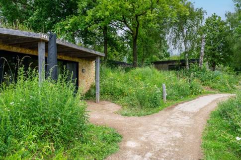 The Terras of Type Hillside Comfort 4 - nr. 143 in Landal Gulpen