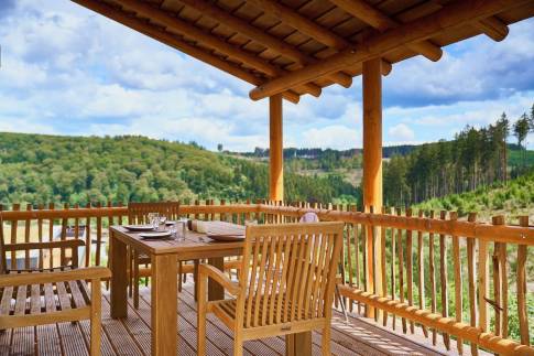 The Terras of Type Boomwoning Luxe 4P - nr. I07 in UplandParcs Sauerland
