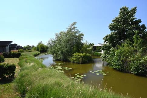 The Omgeving of nr. 222 - type Rialto Max 6 in Park Westerkogge