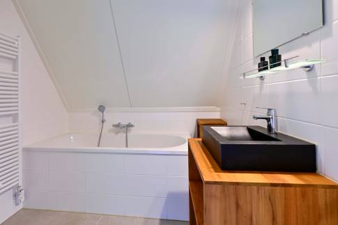 The Badkamer of Type 2L - nr. 19 in Landal De Reeuwijkse Plassen