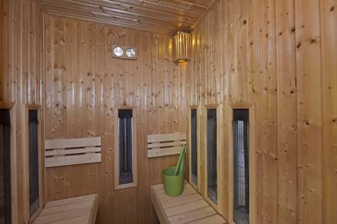 The Sauna of Type Buitenverblijf Wellness 4 - nr. 320 in Resort Arcen