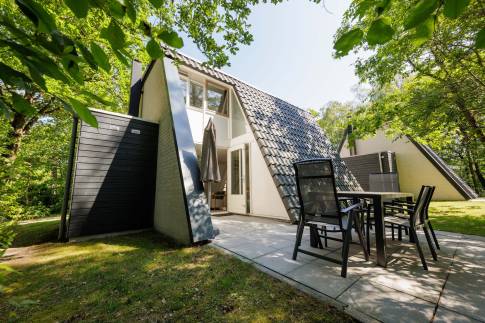 The Terras of Type Veluwe Villa - nr. 201 Hennep in Landal Bungalowpark Hoenderloo