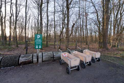 The Omgeving of Type Bosvilla Comfort 6-7 - nr. 21 Spirea in Landal Bungalowpark Hoenderloo