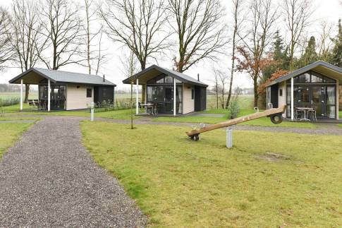 The Omgeving of Type Tiny House - nr. 513 in Recreatiepark De Tolplas