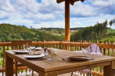 The Terras of Type Boomwoning Luxe 4P - nr. I07 in UplandParcs Sauerland