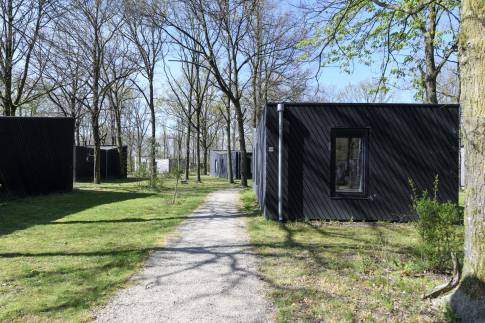 The Buiten of Type Forest Cabin Wellness 4 - nr. 129 in Roompot Vakantiepark Schaijk