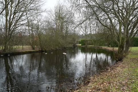 The Omgeving of Type Bungalow 4 - nr. 163 in Veluwse Hoevegaerde
