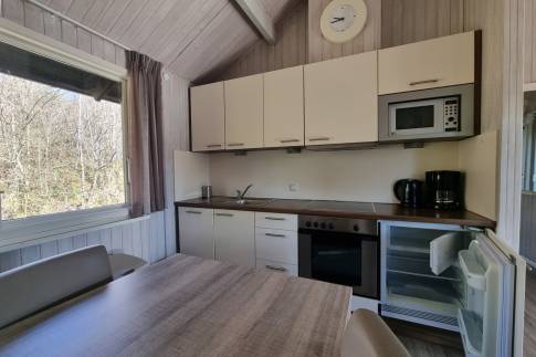 The Keuken of nr. 026 - type Kronenburg Comfort 4 in Eifelpark Kronenburger See