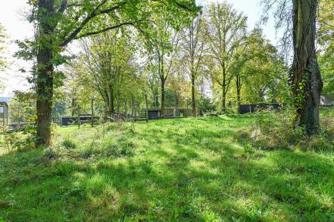 The Buiten of Type Green Valley 6 - nr. 41 in Landal Gulpen