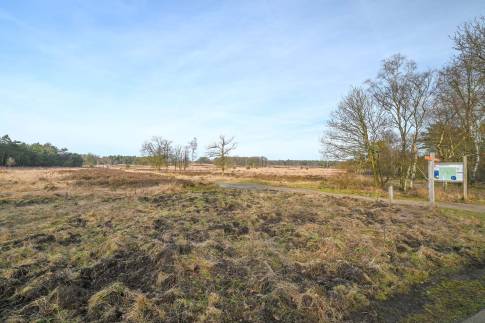 The Omgeving of Type Veluwe Villa 4B - nr. 73 Pijplook in Landal Bungalowpark Hoenderloo