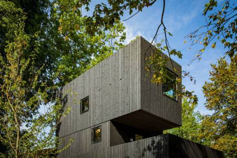The Buiten of nr. 013 - type Treehouse 6 in Landal Gulpen