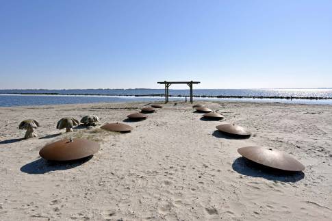 The Omgeving of Type Studio Hotel Waterfront 2p - nr. 2c in Beach Resort Punt West