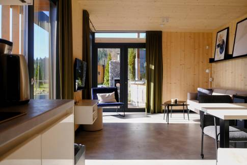 The Woonkamer of Type A Wellness - nr. H05 in UplandParcs Sauerland