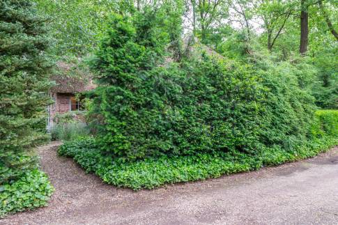 The Omgeving of nr. V1 - type Boerderij Villa in Bospark Vlindervallei