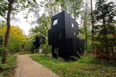 The Buiten of nr. 013 - type Treehouse 6 in Landal Gulpen