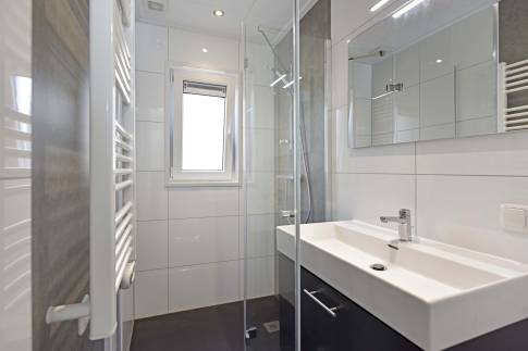 The Badkamer of Type Cube Deluxe Huisdiervriendelijk - nr. 110 in Park Drentheland