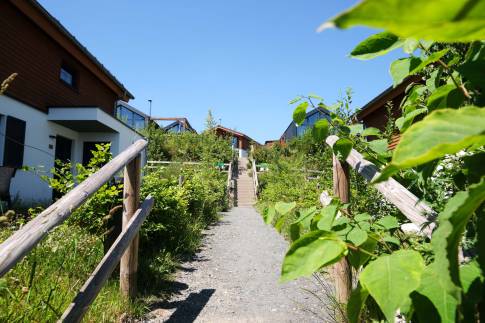 The Omgeving of Type 1 - nr. 53 in UplandParcs Winterberg