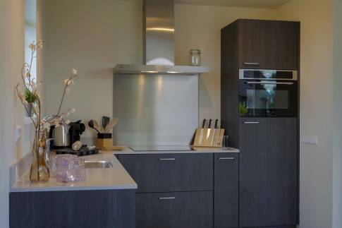 The Keuken of Type 6P Luxe - 6L in Landal De Wielsche Dreef