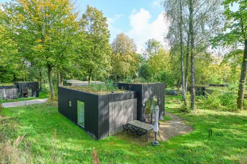 The Buiten of Type Green Valley 6 - nr. 41 in Landal Gulpen