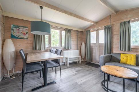 The Woonkamer of Type Buitenverblijf Comfort 6 - nr. 295 in Resort Arcen