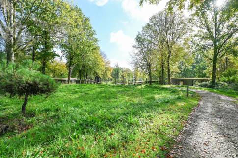 The Buiten of Type Green Valley 6 - nr. 41 in Landal Gulpen