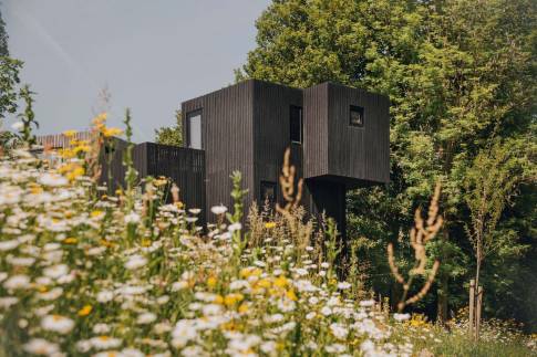 The Buiten of nr. 013 - type Treehouse 6 in Landal Gulpen