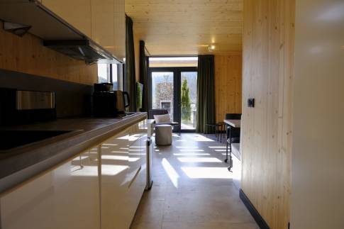 The Keuken of Type A Luxe - nr. F06 in UplandParcs Sauerland