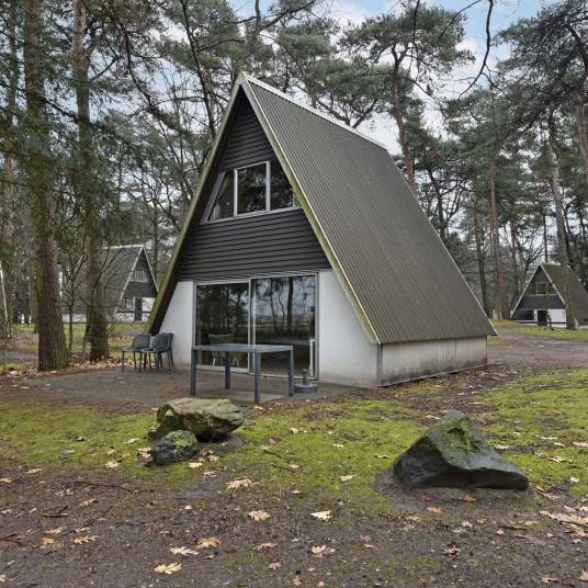 The Buiten of Type W4A - nr. 51 in Landal Bospark ’t Wolfsven
