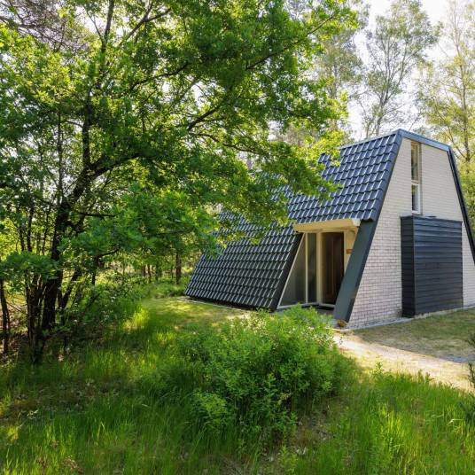 The Buiten of Type Comfort Classic Sauna - nr. 21 Ereprijs in Bungalowpark Hoenderloo